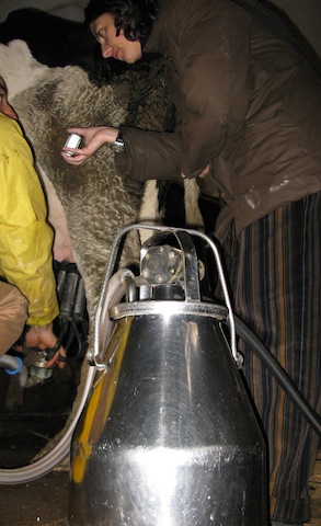 Sabrina Sganga durante un reportage sull'isola di Gorgona nel dicembre 2008.