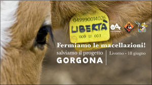 grafica.evento
