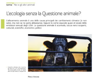 eco_verdone