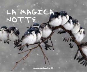 la-magica-notte
