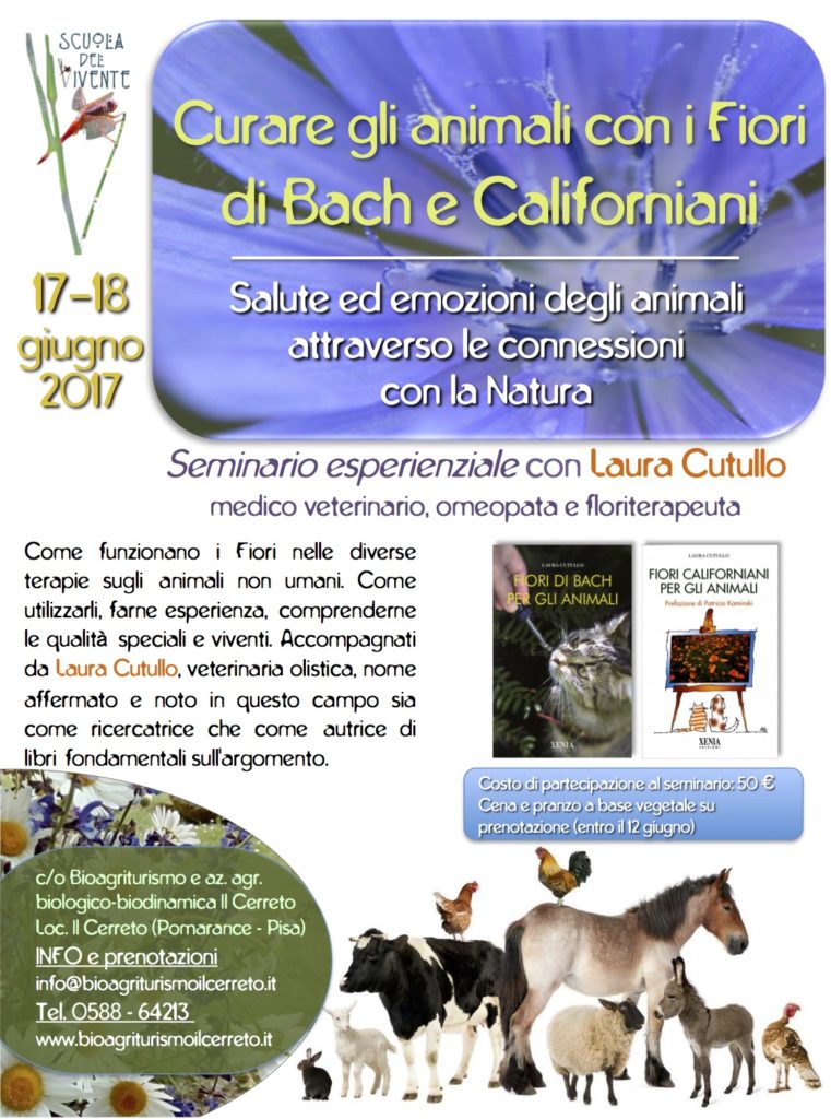 Seminario Laura Cutullo_giugno2017_bozza3