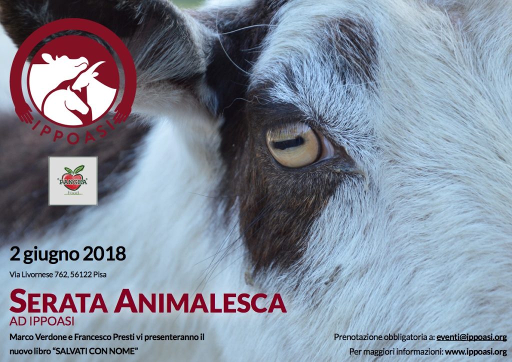 Ippoasi_2 giugno 2018