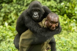 ranger-uccisi-congo