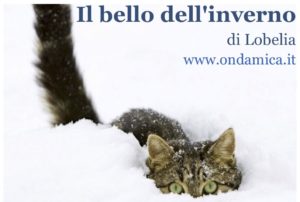 Il bello dell'inverno_copertina