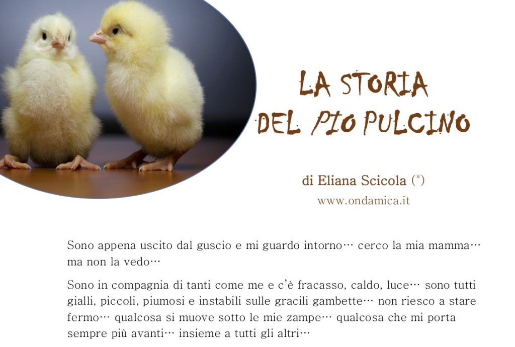 STORIA DEL PIO PULCINO_1 pag