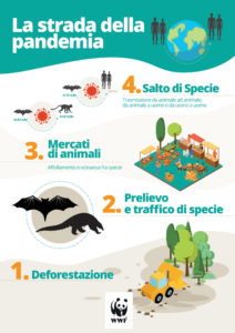 wwf_pandemia_infografica_1