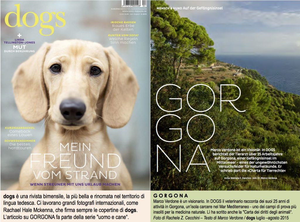 Dogs_GORGONA_lug_ago2015